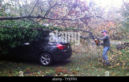 Ein Hausbesitzer beginnt, sich Schaden von einem Baum, der in seinem Auto während Hurrikan Sandy ging es durch Shrewsbury, New Jersey, 29. Oktober 2012 verabschiedet. Die super Sturm ließ Landfall in der vergangenen Nacht in New Jersey und hat mindestens 16 lebt in den Vereinigten Staaten geltend, und hat massive Überschwemmungen in weiten Teilen der östlichen Meeresküste verursacht. UPI/Bill Denver Stockfoto