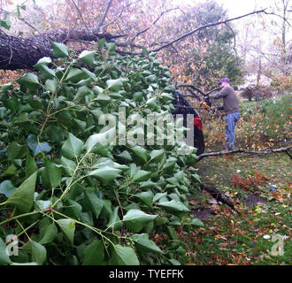 Ein Hausbesitzer beginnt, sich Schaden von einem Baum, der in seinem Auto während Hurrikan Sandy ging es durch Shrewsbury, New Jersey, 29. Oktober 2012 verabschiedet. Die super Sturm ließ Landfall in der vergangenen Nacht in New Jersey und hat mindestens 16 Menschen in den Usa behauptete und verursachte massive Überschwemmungen in weiten Teilen der östlichen Meeresküste. UPI/Bill Denver Stockfoto