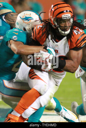 Cincinnati Bengals HB Benjarvus Green-Ellis läuft für 8 Yards gegen die Miami Dolphins in der ersten Hälfte auf Sun Life Stadium in Miami, Florida auf Oktober 31,2013. UPI/Susan Knowles Stockfoto