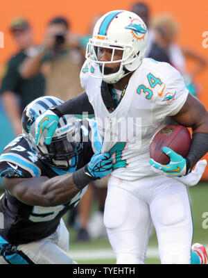 Miami Dolphins RB Marcus Thigpen Gewinne 4 Yards vor der Leoparden LB Thomas Davis angegangen werden (58) gegen die Carolina Panthers im 2. Quartal bei Sun Life Stadium in Miami, Florida, am 24. November 2013. Die Leoparden besiegten die Delphine 16-20. UPI/Susan Knowles Stockfoto