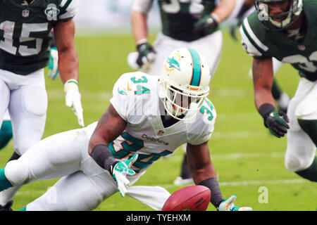 Miami Dolphins RB Marcus Thigpen (34) Tropfen einen Pass und erholt sich für keinen Gewinn gegen die New York Jets in der zweiten Hälfte bei Sun Life Stadium in Miami, Florida, am 29. Dezember 2013. Die Jets schlagen die Delphine 20-7. . UPI/Susan Knowles Stockfoto