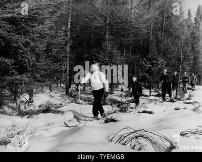 Foto von einer Partei der Skifahrer; Umfang und Inhalt: Original Bildunterschrift: eine Partei der Skifahrer auf einer der Skipisten, Shingobee Winter Spielplatz. Stockfoto