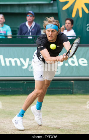 Alexander Zverev (GER) mit Kugel, Single Action mit Kugel, Aktion, vollständige Abbildung, Hochformat, Tennis, Viertelfinale, 27 NOVENTI Open 2019 ATP World Tour am 21.06.2019 in Halle (Westf.)/Deutschland. | Verwendung weltweit Stockfoto