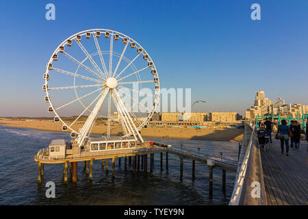 Den Haag (Den Haag), die Niederlande, Holland,, 20. April 2019. Scheveningen ist ein langer Sandstrand, Promenade, ein Pier, ein Riesenrad und ein BUNGY Stockfoto