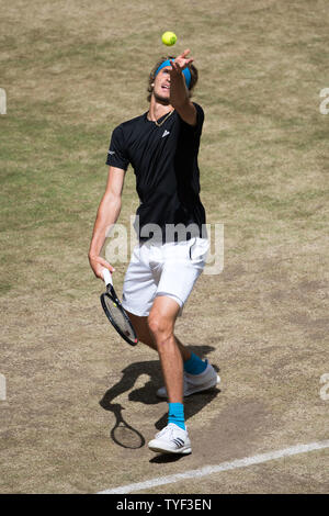 Alexander Zverev (GER) mit Kugel, Single Action mit Kugel, Aktion, vollständige Abbildung, Hochformat, dienen, Eröffnung, Tennis, Viertelfinale, 27 NOVENTI Open 2019 ATP World Tour am 21.06.2019 in Halle (Westf.)/Deutschland. | Verwendung weltweit Stockfoto