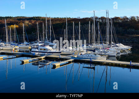 Yachten und Kreuzfahrtschiffe im Hafen an Portavadie Marina am Loch Fyne in Argyll und Bute, Schottland, Großbritannien Stockfoto