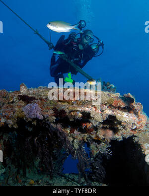 Ein SCUBA Diver fällt über das Wrack der Spiegel Grove von Key Largo, Florida in diesem April 29, 2006, Foto. Die Spiegel Grove, einer 510 Fuß Kriegsschiff, einer der größten Wracks in den Vereinigten Staaten, wurde versenkt ein künstliches Riff System zu erstellen. Am Freitag, den 16. März 2007, drei Tauchern verloren ihre Leben während des Tauchens in dem Wrack. (UPI Foto/Joe Marino) Stockfoto