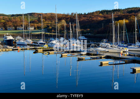 Yachten und Kreuzfahrtschiffe im Hafen an Portavadie Marina am Loch Fyne in Argyll und Bute, Schottland, Großbritannien Stockfoto