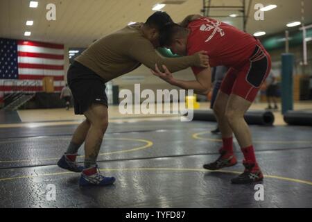 VIRGINIA BEACH, Virginia (November 5, 2016) Petty Officer 3rd Jairo Diaz, Links, Greifzangen mit Petty Officer 3rd Class Luis Sampedro während der 2016 All-Navy Wrestling Mini-Camp in gemeinsamen Expeditionary Base Little Creek Rockwell Halle. Seeleute aus dem Gebiet Hampton Roads nahmen an der Mini-Camp einen Punkt auf der All-Navy Wrestling Team zu verdienen und in den Streitkräften Meisterschaften zu konkurrieren. Stockfoto