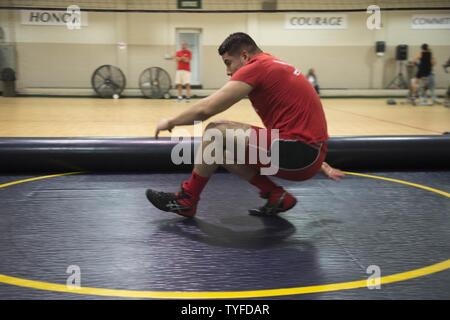 VIRGINIA BEACH, Virginia (November 5, 2016) Petty Officer 3rd Class Luis Sampedro hat ein vorwärts rollt auf der Matte während der 2016 All-Navy Wrestling Mini-Camp in gemeinsamen Expeditionary Base Little Creek Rockwell Halle. Seeleute aus dem Gebiet Hampton Roads nahmen an der Mini-Camp einen Punkt auf der All-Navy Wrestling Team zu verdienen und in den Streitkräften Meisterschaften zu konkurrieren. Stockfoto