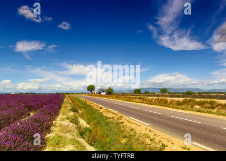 Straße auf der berühmten Plateau von Valensole in Provence, Frankreich. Tief blauen Himmel und Lavendel Felder Stockfoto