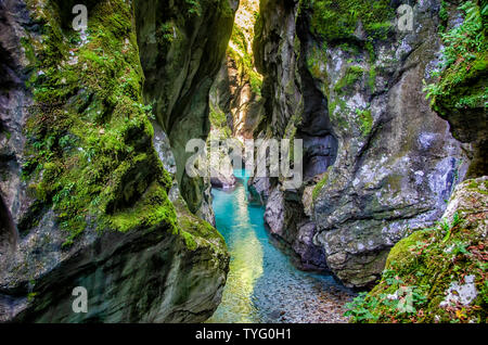 Crystal Clear emerald Mountain River fließt zwischen den Felsen in eine tiefe Schlucht im Triglav Nationalpark, Slowenien. Stockfoto