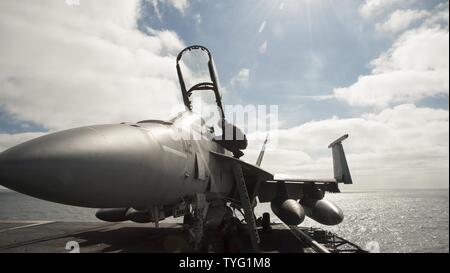 (Nov. 7, 2016) Leutnant Evan Levesane zugeordnet Strike Fighter Squadron (VFA) 2 "Kopfgeldjäger" führt eine Pre-flight Inspection einer F/A-18F Super Hornet auf dem Flugzeugträger USS Carl Vinson (CVN 70). Carl Vinson wird derzeit die Durchführung von Composite Trainingsgerät Übung (COMPTUEX) in Vorbereitung für eine bevorstehende Bereitstellung. Stockfoto