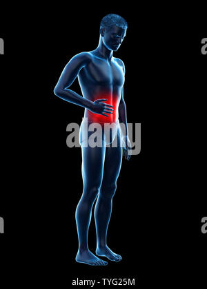 3D-gerenderte Medizinisch genaue Abbildung eines Mans schmerzhafte Magen Stockfoto