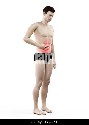 3D-gerenderte Medizinisch genaue Abbildung eines Mans schmerzhafte Magen Stockfoto