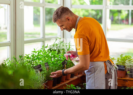 Florist besprühen die Pflanzen mit Wasser in der Nähe von Schaufenstern. Stockfoto