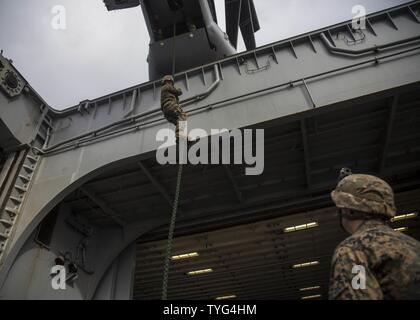 USS MAKIN ISLAND, auf hoher See (8. November 2016) – A Marine Battalion Landing Team 1. BN, 4. Marines, 11. Marine Expeditionary Unit, beendet die Rückseite ein MV-22 Osprey, Verwendung der schnell-Seil Hubschrauber Seil Aussetzung Technik (HRST) Methode während HRST Ausbildung an Bord der USS Makin Island (LHD 8), während flott in den Pazifischen Ozean, 8. November 2016 durchgeführt. Das Training wurde durchgeführt, um zu erhöhen die Marines-Fähigkeiten, um Operationen schnell-Seil, das ist eine Fertigkeit, die sie benutzen konnten, während Einsätzen während der MEU Westpazifik 16-2 Bereitstellung an den Pazifik und Mittel- Stockfoto