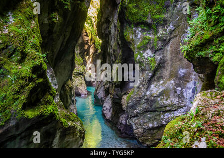 Crystal Clear emerald Mountain River fließt zwischen den Felsen in einem tiefen Canyon. Triglav Nationalpark, Slowenien. Stockfoto