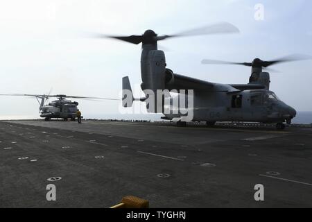 Roten Meer (Nov 8, 2016) Eine MV-22 Osprey B mit 22 Marine Expeditionary Unit (MEU) sitzt auf dem Flugdeck der Amphibisches Schiff USS Wasp (LHD 1) am Nov 8, 2016. Der 22 MEU, eingesetzt mit dem Wasp amphibischen bereit, Gruppe, ist die Durchführung von militärischen Operationen zur Unterstützung der US-amerikanischen nationalen Sicherheitsinteressen in der fünften Flotte Bereich der Operationen. Stockfoto