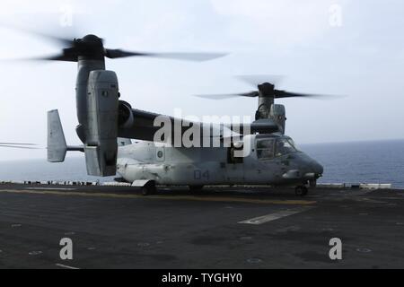 Roten Meer (Nov 8, 2016) Eine MV-22 Osprey B mit 22 Marine Expeditionary Unit (MEU) sitzt auf dem Flugdeck der Amphibisches Schiff USS Wasp (LHD 1) am Nov 8, 2016. Der 22 MEU, eingesetzt mit dem Wasp amphibischen bereit, Gruppe, ist die Durchführung von militärischen Operationen zur Unterstützung der US-amerikanischen nationalen Sicherheitsinteressen in der fünften Flotte Bereich der Operationen. Stockfoto