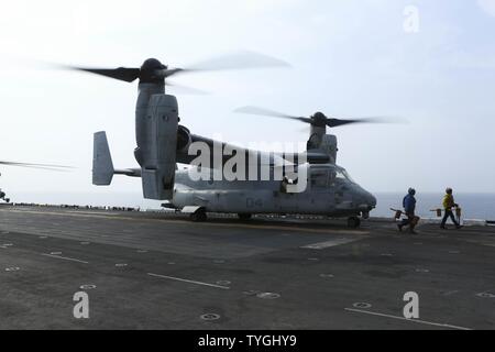 Roten Meer (Nov 8, 2016) Eine MV-22 Osprey B mit 22 Marine Expeditionary Unit (MEU) sitzt auf dem Flugdeck der Amphibisches Schiff USS Wasp (LHD 1) am Nov 8, 2016. Der 22 MEU, eingesetzt mit dem Wasp amphibischen bereit, Gruppe, ist die Durchführung von militärischen Operationen zur Unterstützung der US-amerikanischen nationalen Sicherheitsinteressen in der fünften Flotte Bereich der Operationen. Stockfoto