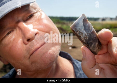 26. Juni 2019, Thüringen Ettersburg: Der archäologe Thomas Grasselt sucht eine Polierte Axt aus Flint Stone (3500 v. Chr.), der gehört zu den Funden der archäologischen Ausgrabung' Mit dem Keßlinge" in Ettersburg. Das Landesamt für Denkmalpflege und nach 1550 (Landesamt für Denkmalpflege und Archäologie) zeigt gut erhaltene Skelette von körperlichen Bestattungen mit ihren Grabbeigaben. (Dpa keletons aus der Jungsteinzeit gefunden bei Ausgrabungen") Foto: Michael Reichel/dpa Stockfoto