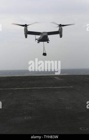 Roten Meer (Nov 9, 2016) Eine MV-22 Osprey B mit 22 Marine Expeditionary Unit (MEU) Cargo hebt das Flight Deck der Amphibisches Schiff USS Wasp (LHD 1) am Nov 9, 2016. Der 22 MEU, eingesetzt mit dem Wasp amphibischen bereit, Gruppe, ist die Durchführung von militärischen Operationen zur Unterstützung der US-amerikanischen nationalen Sicherheitsinteressen in der fünften Flotte Bereich der Operationen. Stockfoto