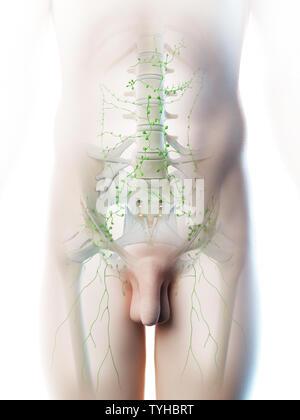 3D-Darstellung eines Mans abdominalen Lymphknoten Stockfoto