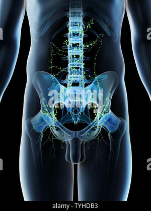 3D-Darstellung eines Mans abdominalen Lymphknoten Stockfoto