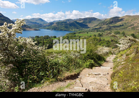 Fußweg von Gowbarrow hinunter nach Ullswater auf dem Ullswater Way, mit St Sunday Crag in der Ferne Lake District National Park Cumbria England UK Stockfoto