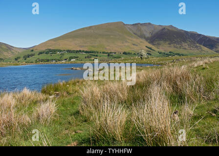 Blick über Tewet Tarn in Richtung Blencathra bei Keswick im Sommer Lake District National Park Cumbria England Vereinigtes Königreich GB Großbritannien Stockfoto