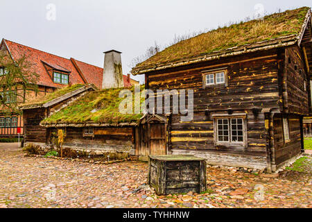 Ein Gras - überdachte Cottage in Kulturen, die älteste Freilichtmuseum der Welt, im Zentrum der Stadt Lund, Schweden. Januar 2019. Stockfoto