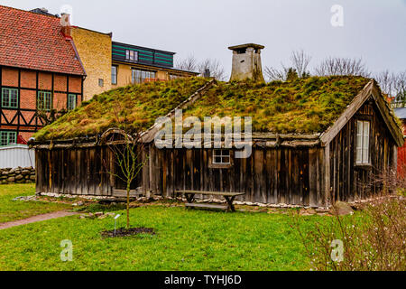 Ein Gras - überdachte Cottage in Kulturen, die älteste Freilichtmuseum der Welt, im Zentrum der Stadt Lund, Schweden. Januar 2019. Stockfoto