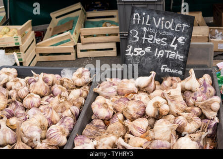 Abschaltdruck Verkauf von Glühlampen der lila Knoblauch im Donnerstag Wochenmarkt in Dinan, Bretagne, Frankreich Stockfoto