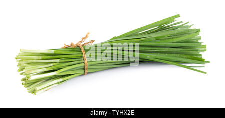 Knoblauch-Schnittlauch isoliert auf weißem Hintergrund Stockfoto