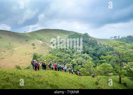 Eine Gruppe von Reisenden nehmen Sie die Wanderwege entlang Ta Nang-Phan Mist Gras Hügel und Wälder im Song Mao Naturschutzgebiet Stockfoto