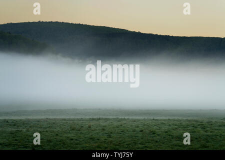 Neblige Landschaft, Blick auf Bodenfelde, Landkreis Northeim, Niedersachsen, Deutschland, Europa Stockfoto