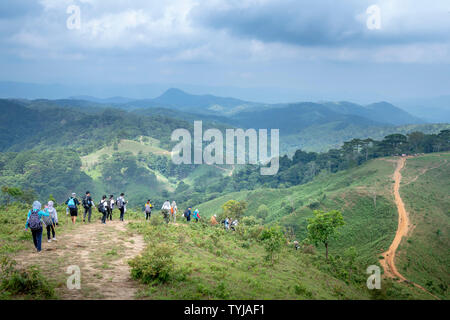 Eine Gruppe von Reisenden nehmen Sie die Wanderwege entlang Ta Nang-Phan Mist Gras Hügel und Wälder im Song Mao Naturschutzgebiet Stockfoto