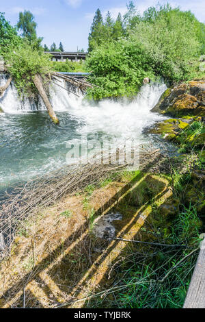 Wildwasser bricht am Tumwater in Tumwater, Washington fällt. Stockfoto