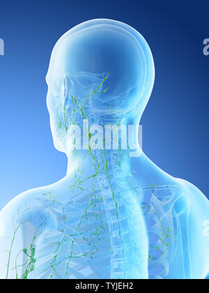 3D-Darstellung eines mans Lymphknoten des Halses Stockfoto