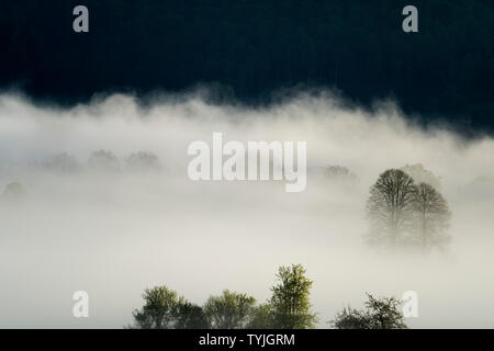 Neblige Landschaft, in der Nähe von Oberweser, Weserbergland, Nordrhein-Westfalen, Hessen, Deutschland Stockfoto