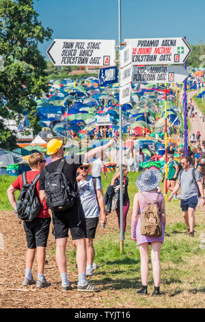 Pilton, Somerset, UK. 26. Juni 2019. Anreise erhalten Ihre Lager und für Plätze zum Camp - Die 2019 Glastonbury Festival, würdig Bauernhof suchen. Glastonbury, 26. Juni 2019 Credit: Guy Bell/Alamy leben Nachrichten Stockfoto