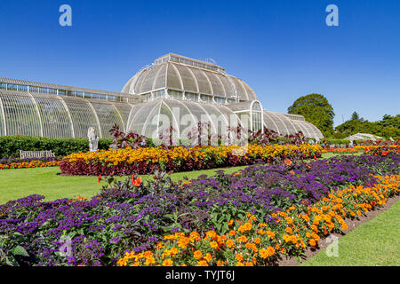 Blumenbeete vor dem Palmenhaus im Royal Botanic Gardens, Kew, London, UK Stockfoto