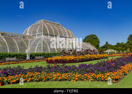 Blumenbeete vor dem Palmenhaus im Royal Botanic Gardens, Kew, London, UK Stockfoto