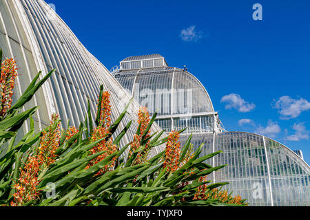 Nahaufnahme der Glas und Metall Rahmen der das Palm House an der Royal Botanic Gardens, Kew, London, UK Stockfoto