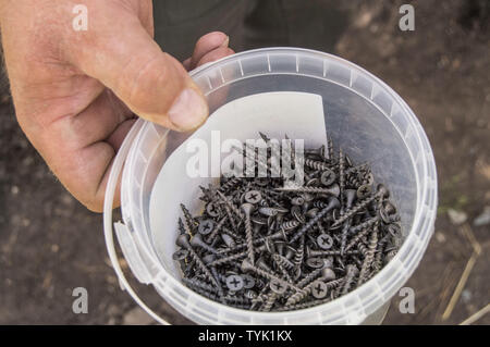 Nahaufnahme eines Menschen Hand Holding ein Kunststoffbehälter mit Metallschrauben auf Holz, ein Tischler Arbeiter bereitet Baumaterialien für seine Arbeit. Stockfoto