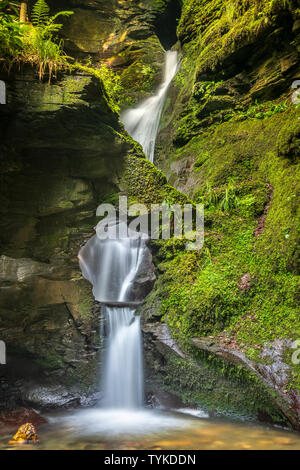 Der Fluss Trevillet schneidet seinen Weg durch den späten Devonischen Schiefer den herrlichen Wasserfall, die Teil des St Nectans Glen in der Nähe von trethevy zu erstellen Stockfoto