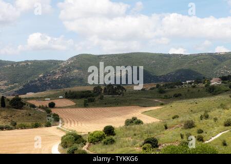 Panorama der Landschaft Jezreel Senke, von Mount Precipice betrachtet. Nordisrael Stockfoto