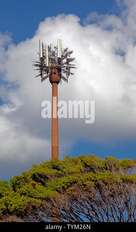 Handy Turm wie eine Palme, Tobago Plantations Immobilien, Lowlands, Tobago getarnt. Stockfoto