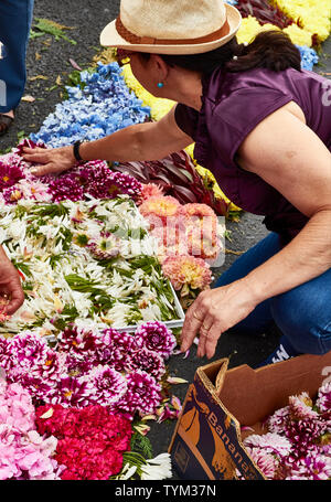 Corpus Christy religiöses Fest in Funchal, Juni 2019, mit Blumen, Madeira, Portugal, Europäische Union Stockfoto